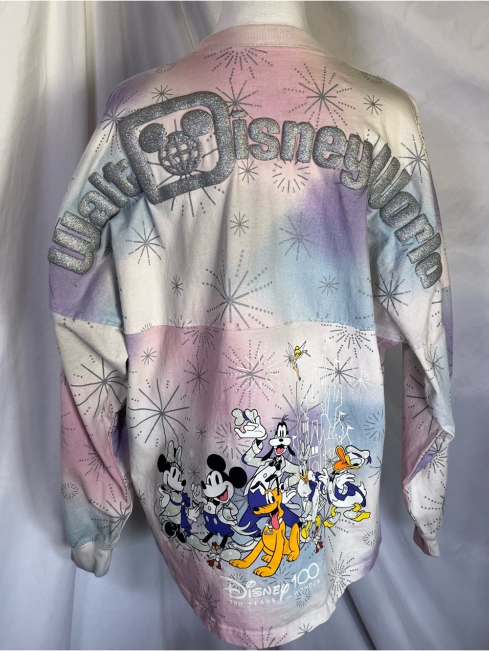 Disney Walt DisneyWorld 2022 100-Year Celebration Spirit Jersey Ombre Silver Med